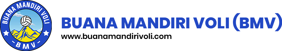 logo bmv